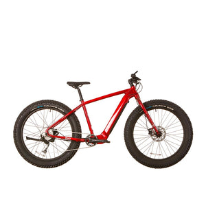 EVO eMTN G060 Electric Bike