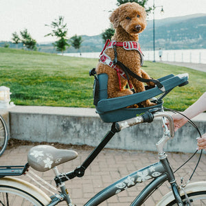 Buddyrider Bicycle Seat Series 2