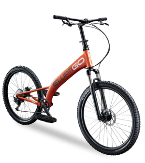 Elliptigo stand up shop bike